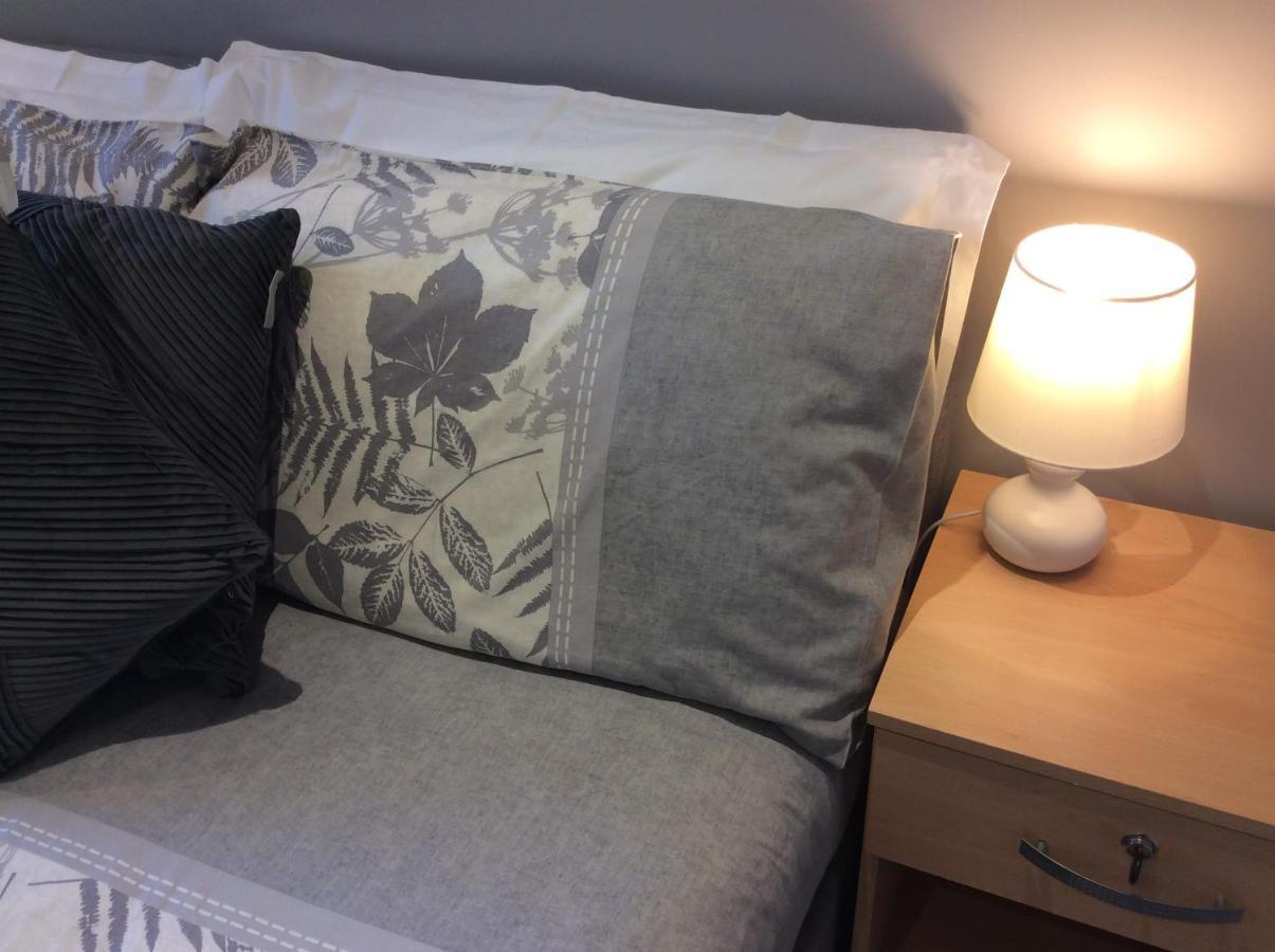 Spacious Ground Floor Studio Flat - Easy Access To Stansted Airport, London And Cambridge Daire Bishop's Stortford Dış mekan fotoğraf